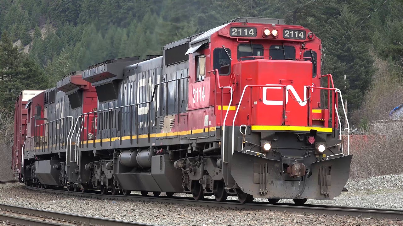 Trains in the Fraser River Canyon: CN, CP, Rocky Mountaineer 4K