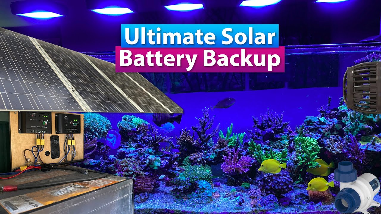 DIY Ultimate Solar Battery Backup for my Saltwater Reef Aquarium