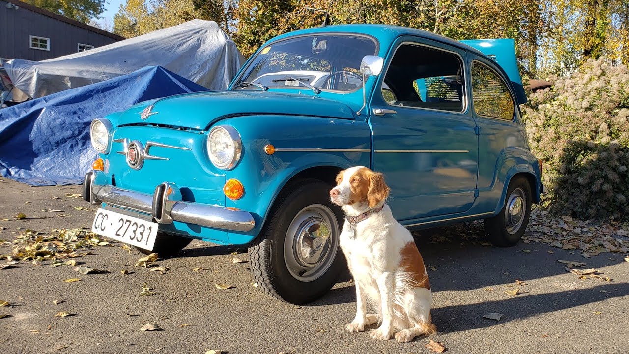 You Will See : This Seat 600 Will Run