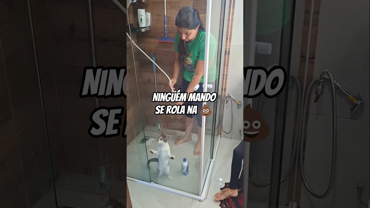 Rotina do dia.O jubiscreudom s&oacute; apronta🙄 #donadecasacomhumor #donadecasablogueira