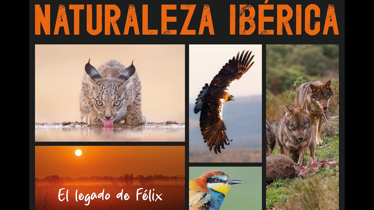 EXPOnature 2024: NATURALEZA IBÉRICA, el legado de félix