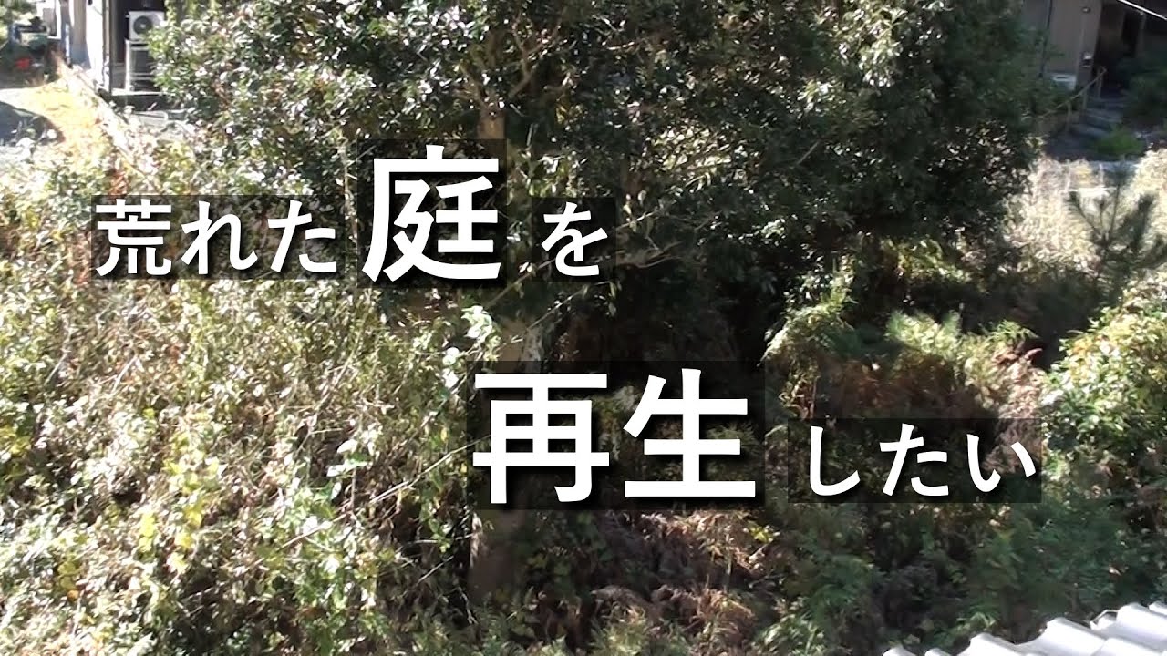 【庭作り】荒れた庭を再生させます