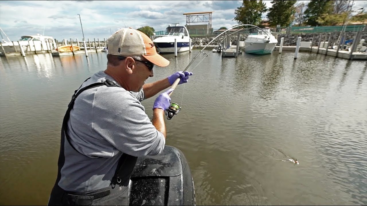 Bobber Fishing for GIANT Harbor Fish!