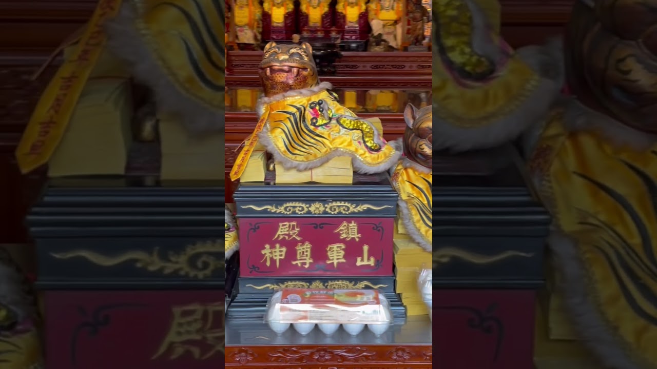 朴子配天宮-不動媽祖#天上聖母 #媽祖#虎爺#金虎爺 #觀音佛祖 #福德正神 #土地公 #白花求男#紅花求女 #神威顯赫