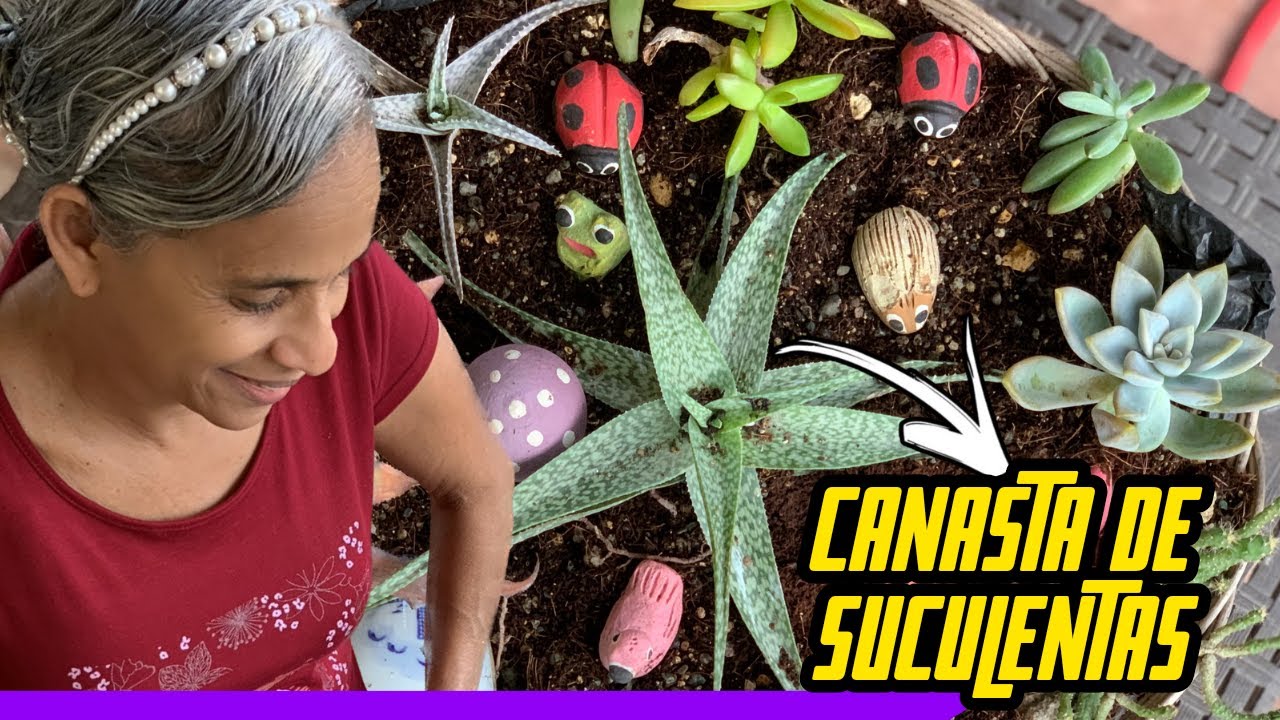 DECORACIÓN DE  CANASTA CON SUCULENTAS Y CACTUS!🪴😍