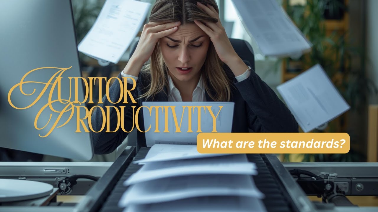 Medical Auditor Productivity