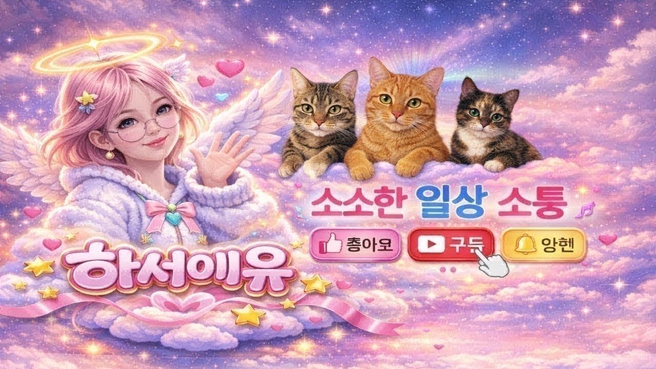 셀프탈색 n회차의 여유