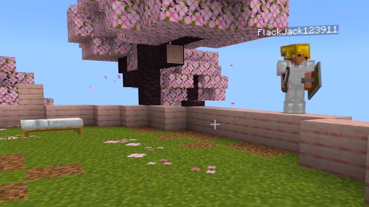 The Minecraft SMP is Getting SUS