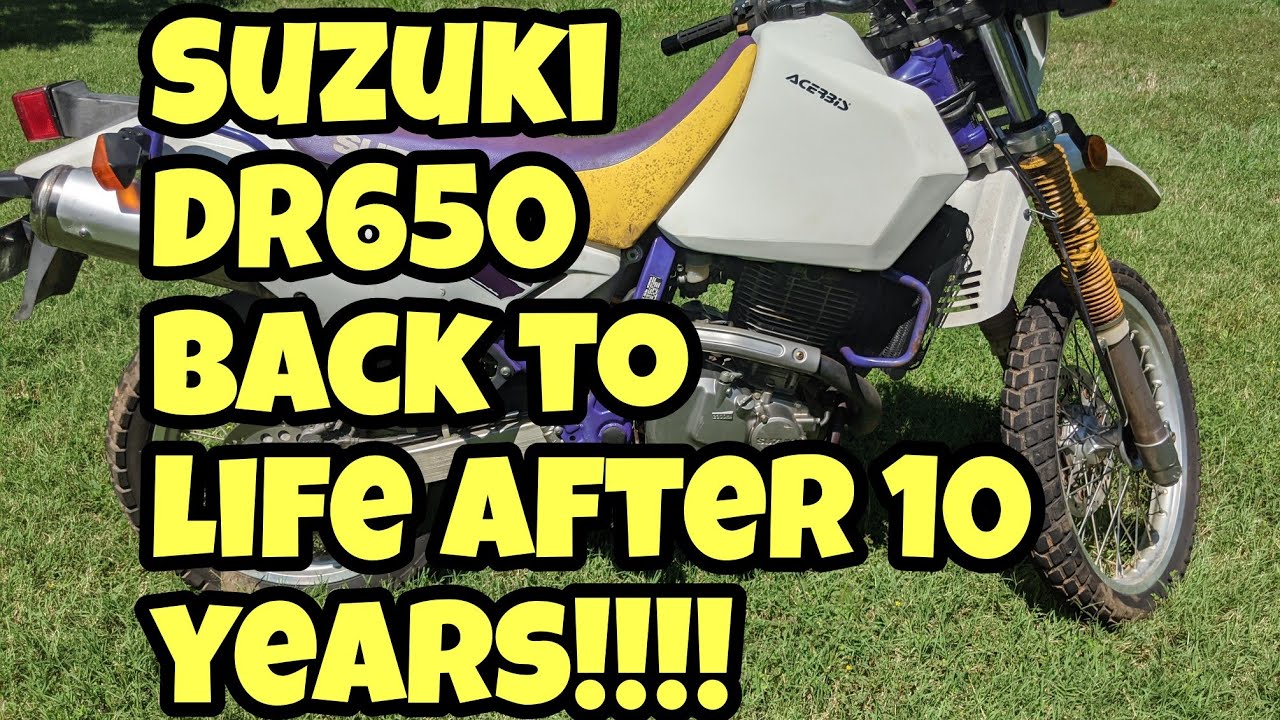 1996 DR650 brought back to life!