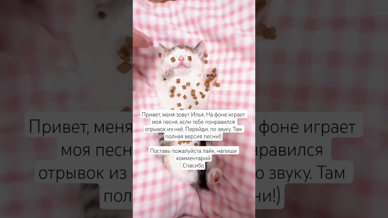 Nalimii Music: ДнД