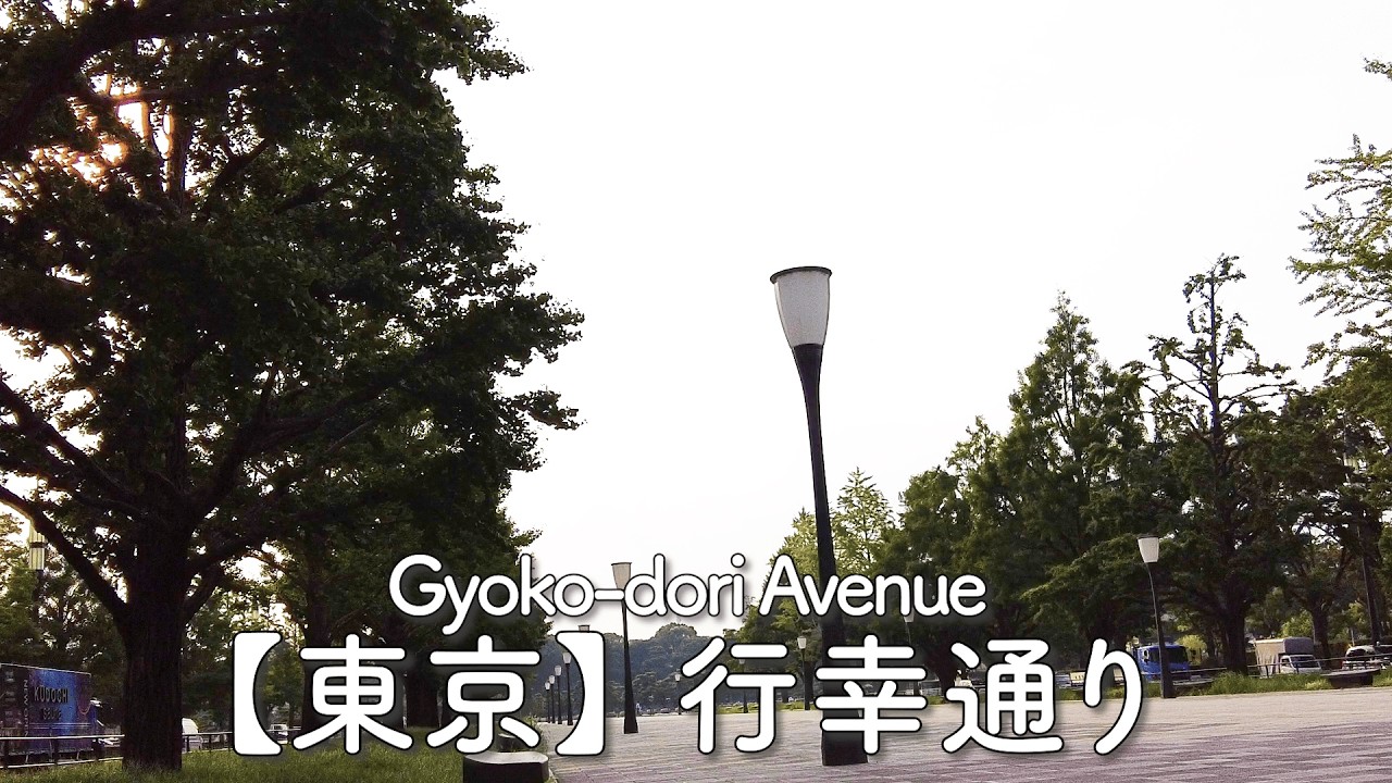 行幸通り(東京駅-皇居)【定点】/Gyoko-dori Avenue