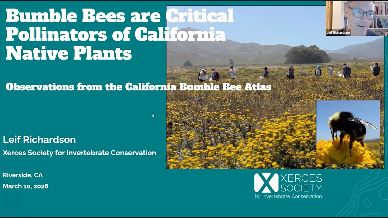 Dr. Leif Richardson: California Bumble Bee Atlas: Community Science for Native Bee Conservation
