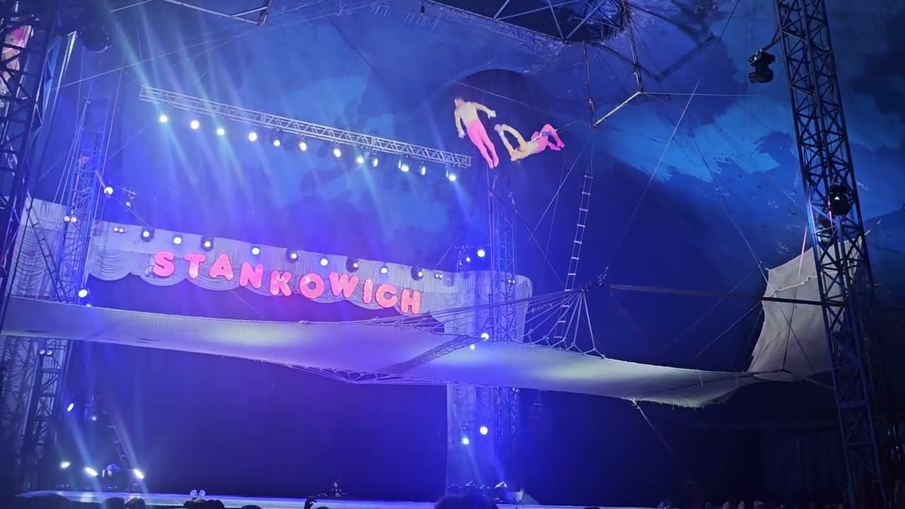 Noite no circo. #pimentaepinguinho #stankowich