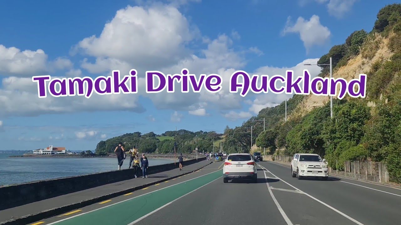 Auckland Unveiled: A Tamaki Drive Tour