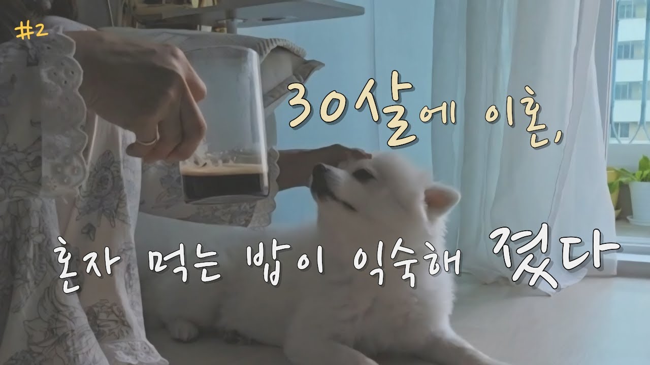 30살 이혼 후 18년째 혼자ㅣ40대브이로그 반려견과 일상을 기록 