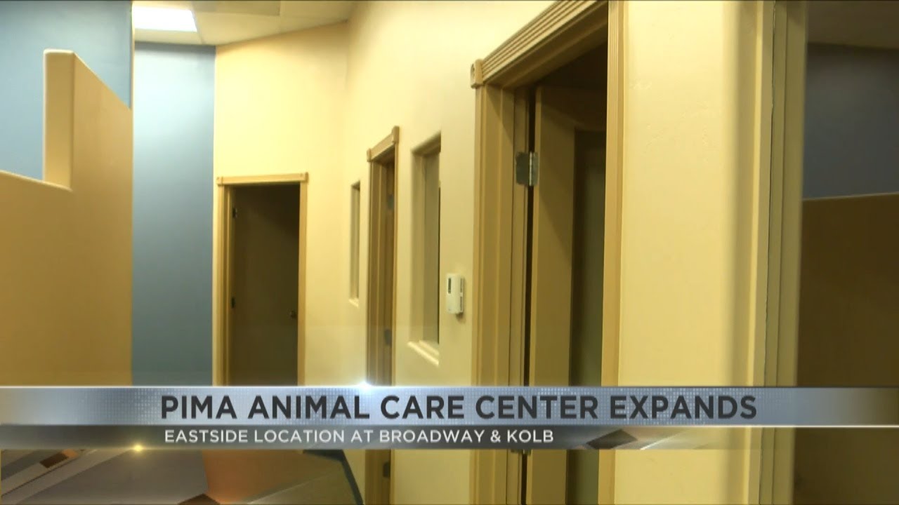Pima Animal Care Center expands with eastside Tucson location