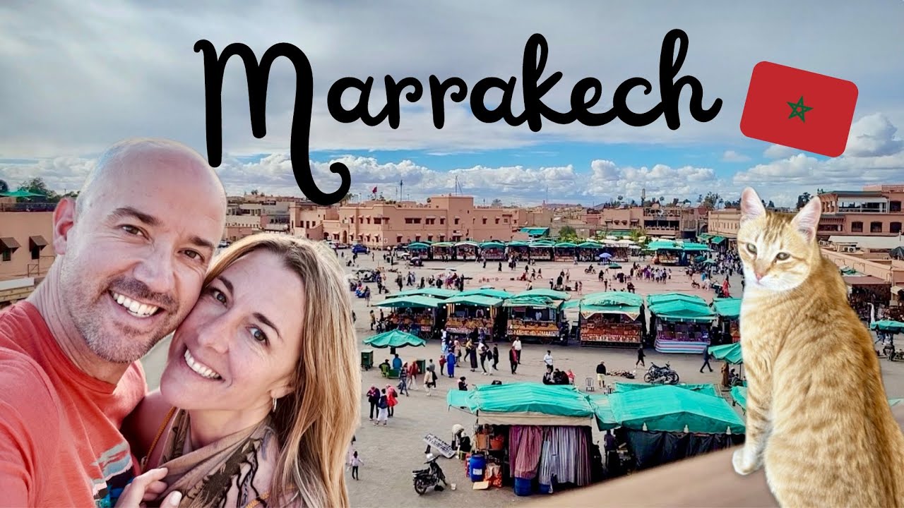MAROC / Road trip 🚗 (On passe 2 jours à MARRAKECH) Riad, médina  et plein de CHATS 🐈