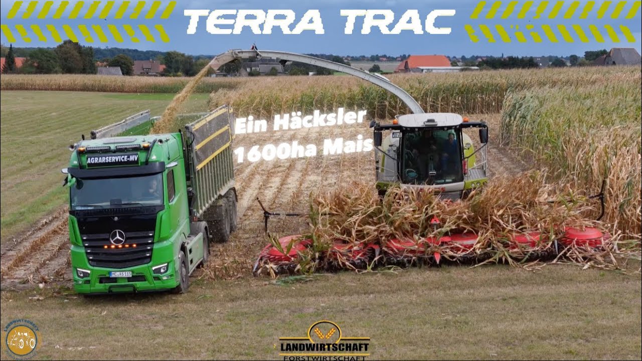 Ein Häcksler & 1600ha Mais! Jaguar 990 TT Agrarservice-MV Lohnauftrag Maishäckseln Landwirtschaft