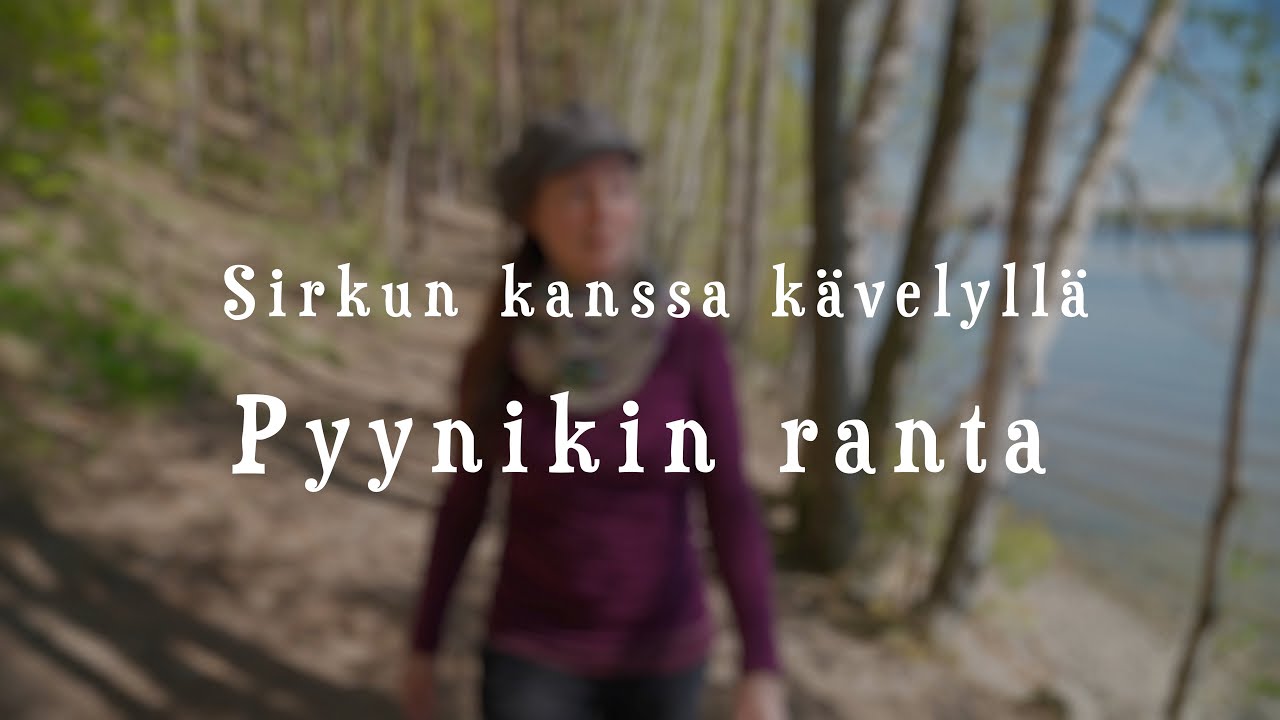 Sirkun kanssa kävelyllä Pyynikin rannalla