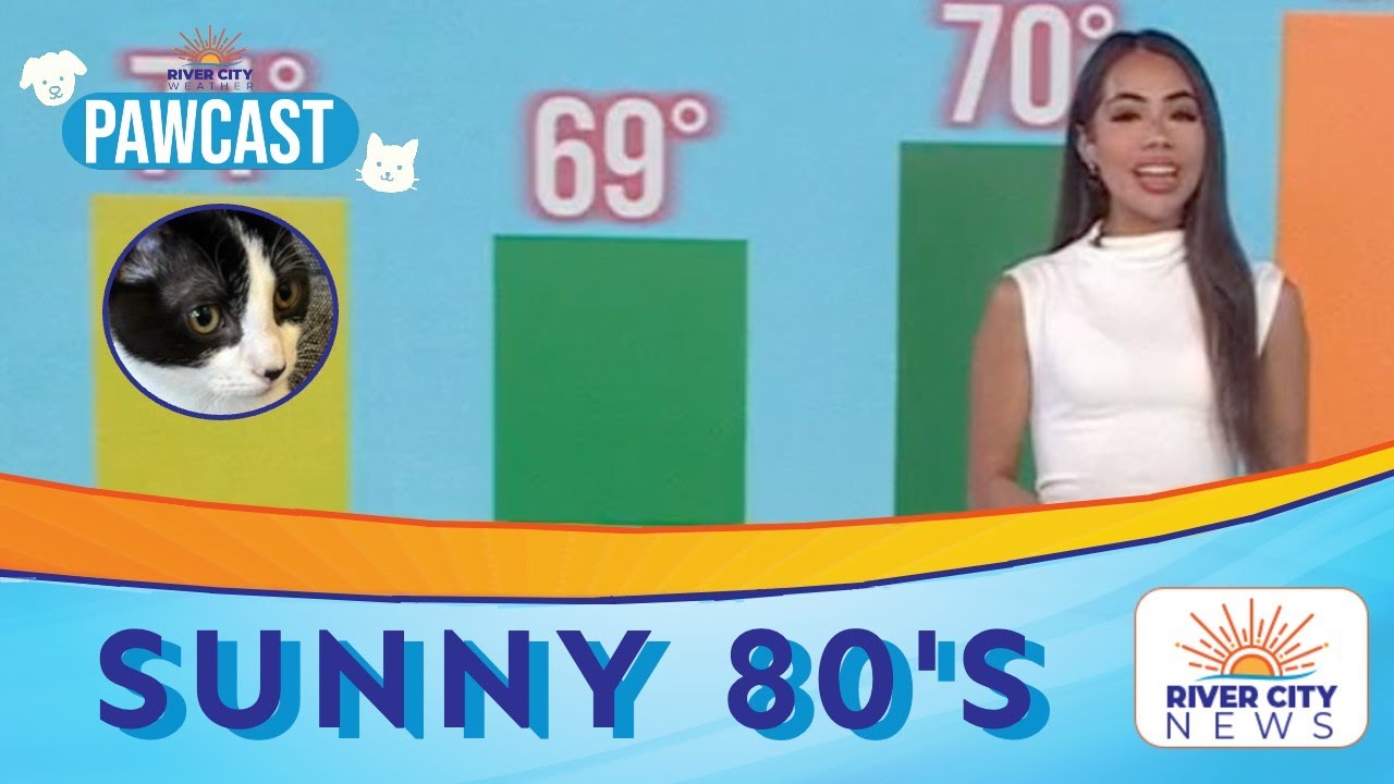 PAWCAST: Sunny 80s Now, Small Midweek Rain Chance Ahead