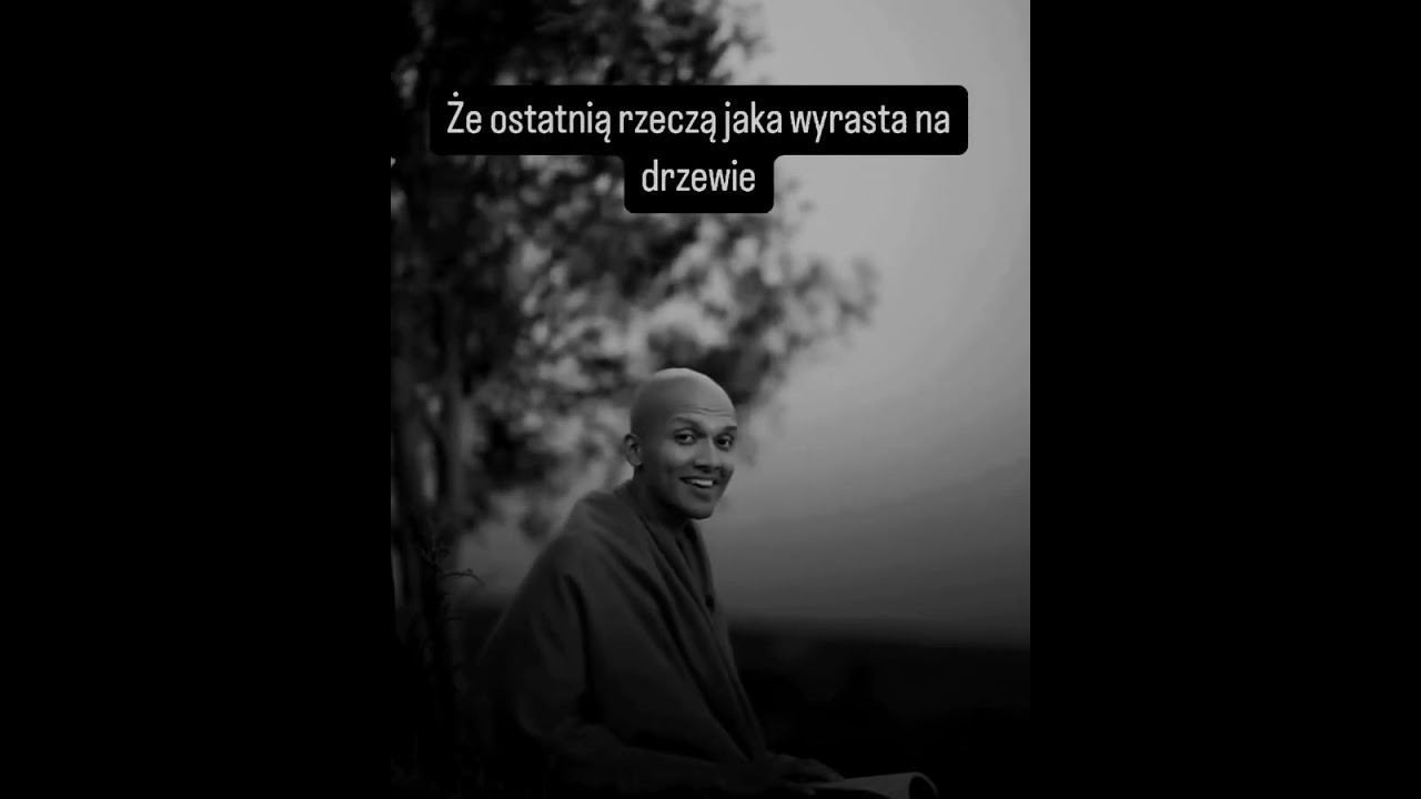 ✨️Dobrego dnia dla Ciebi....... #foryou #viral #lifeafter40 #youtubeshorts #gratitude #staystrong
