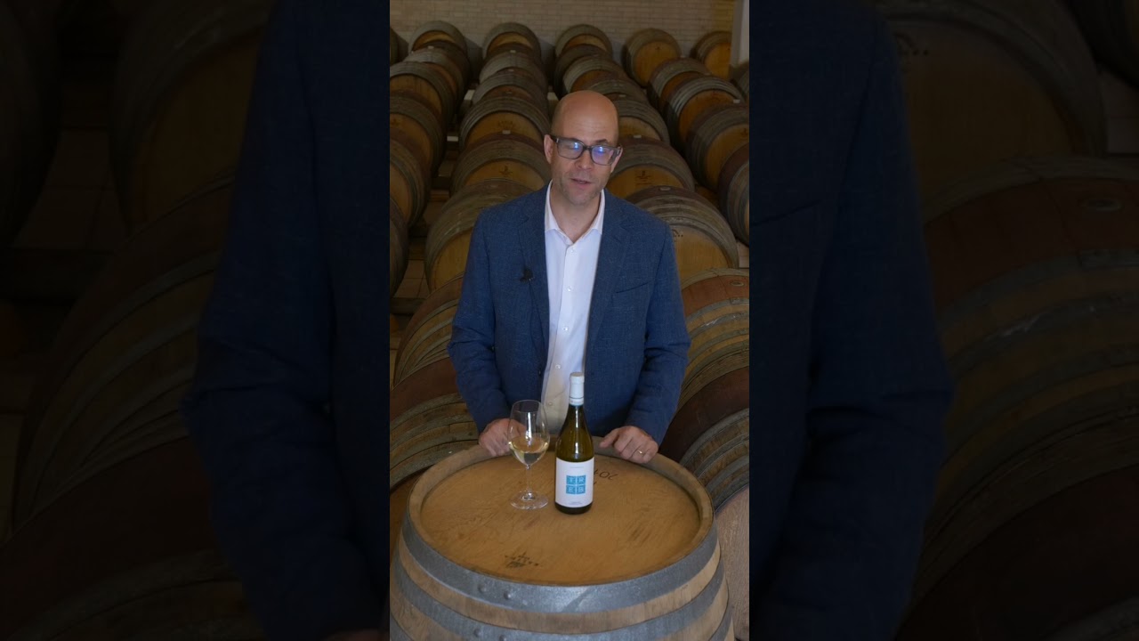 Talamonti TREB&Igrave; - Trebbiano d'Abruzzo DOC