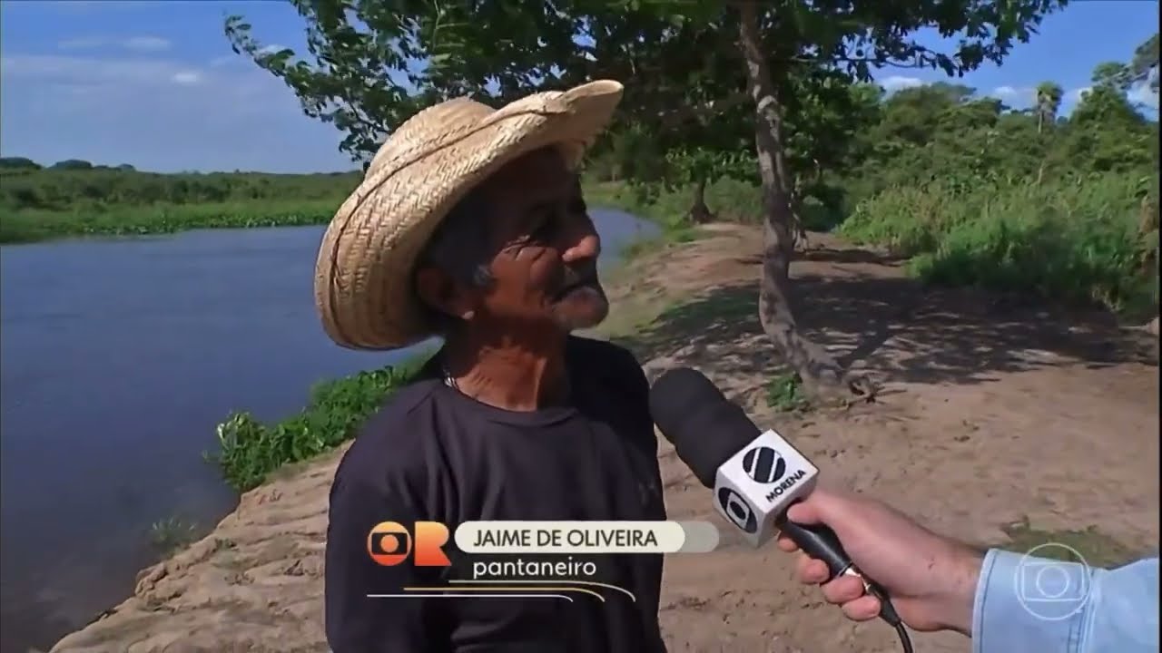 SECA no PANTANAL do MS #globoruralcompleto