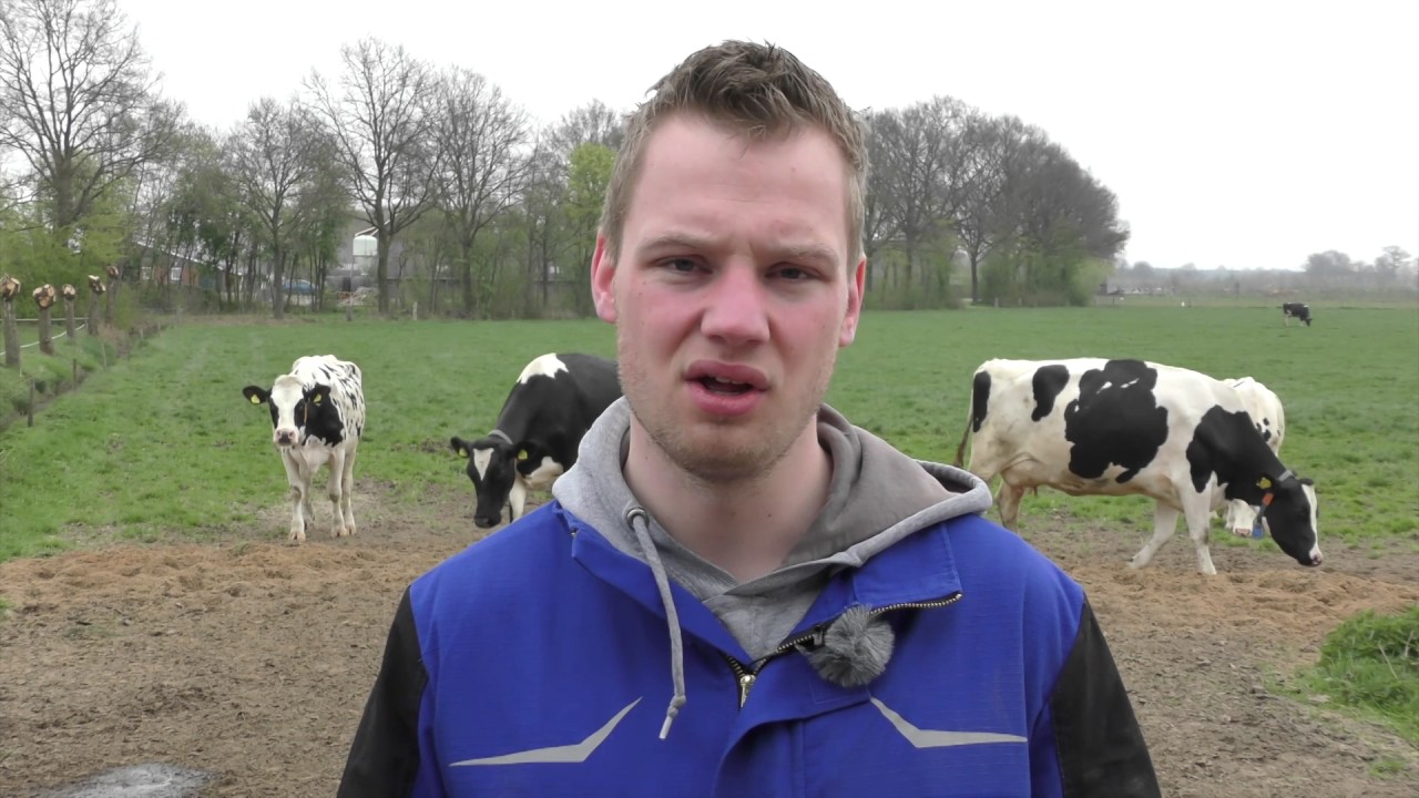 Fam. Heijink over VMS, weiden en Herd Navigator