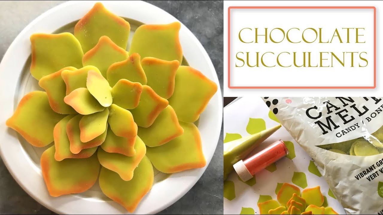 How to Make Chocolate Succulents | Candy Melts Method