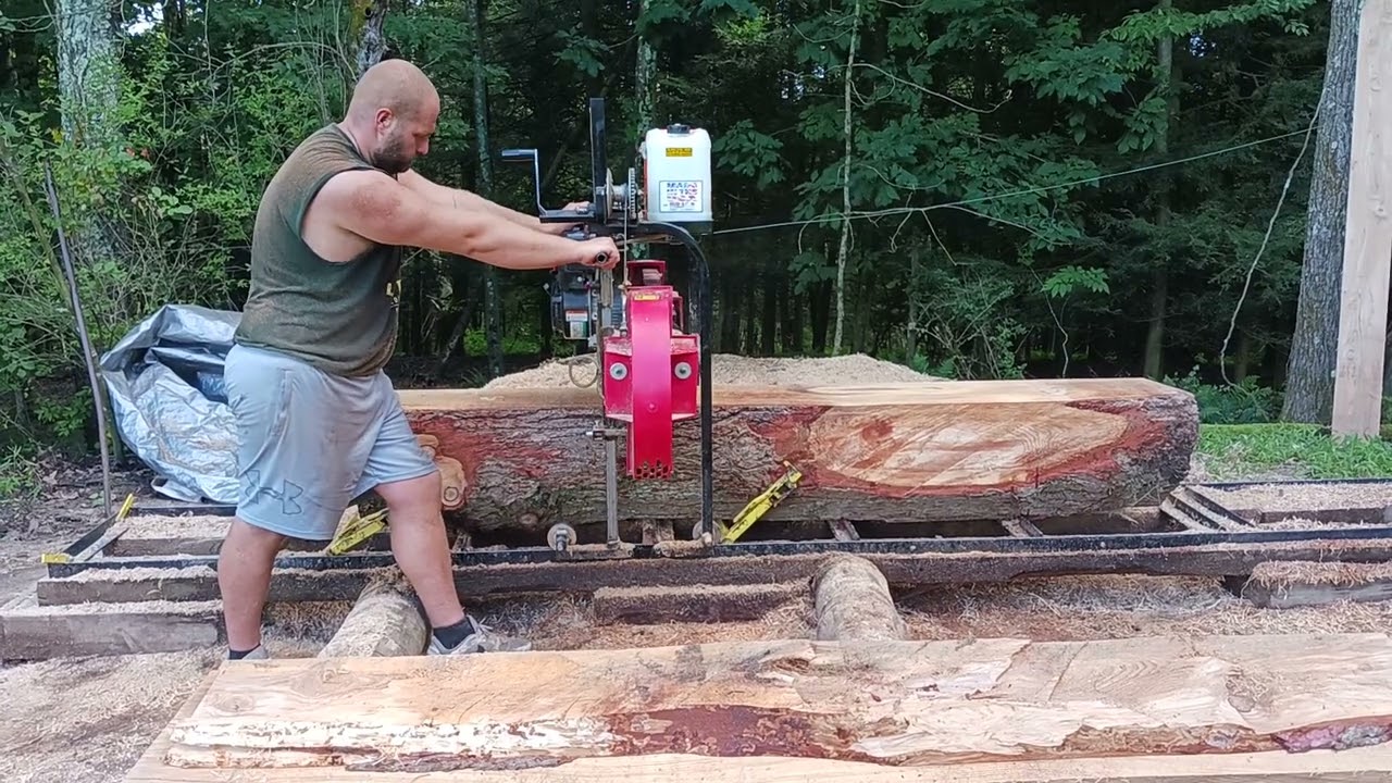 sawing big hemlock 27 inches diameter with the HUDSON HFE 21 homesteader