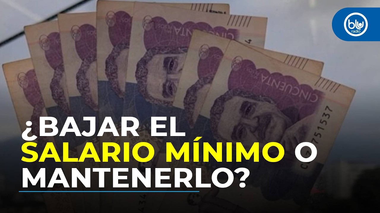 ¿Qué es mejor: bajar el salario mínimo o mantenerlo en 23,7 %? Debate
