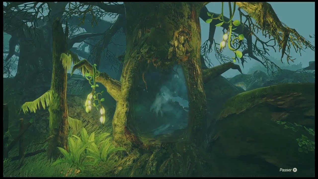 Hyrule Warriors : Les chroniques du Sceau ép 10 Capitaine Ardi