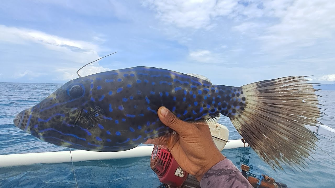 Full strike ‼️ Ketemu spot gacor pass arus mati .