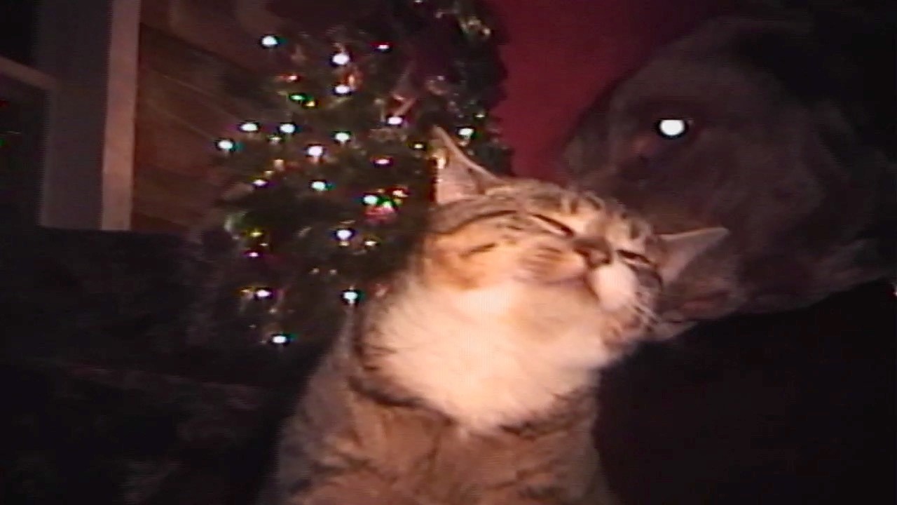 Christmas dream