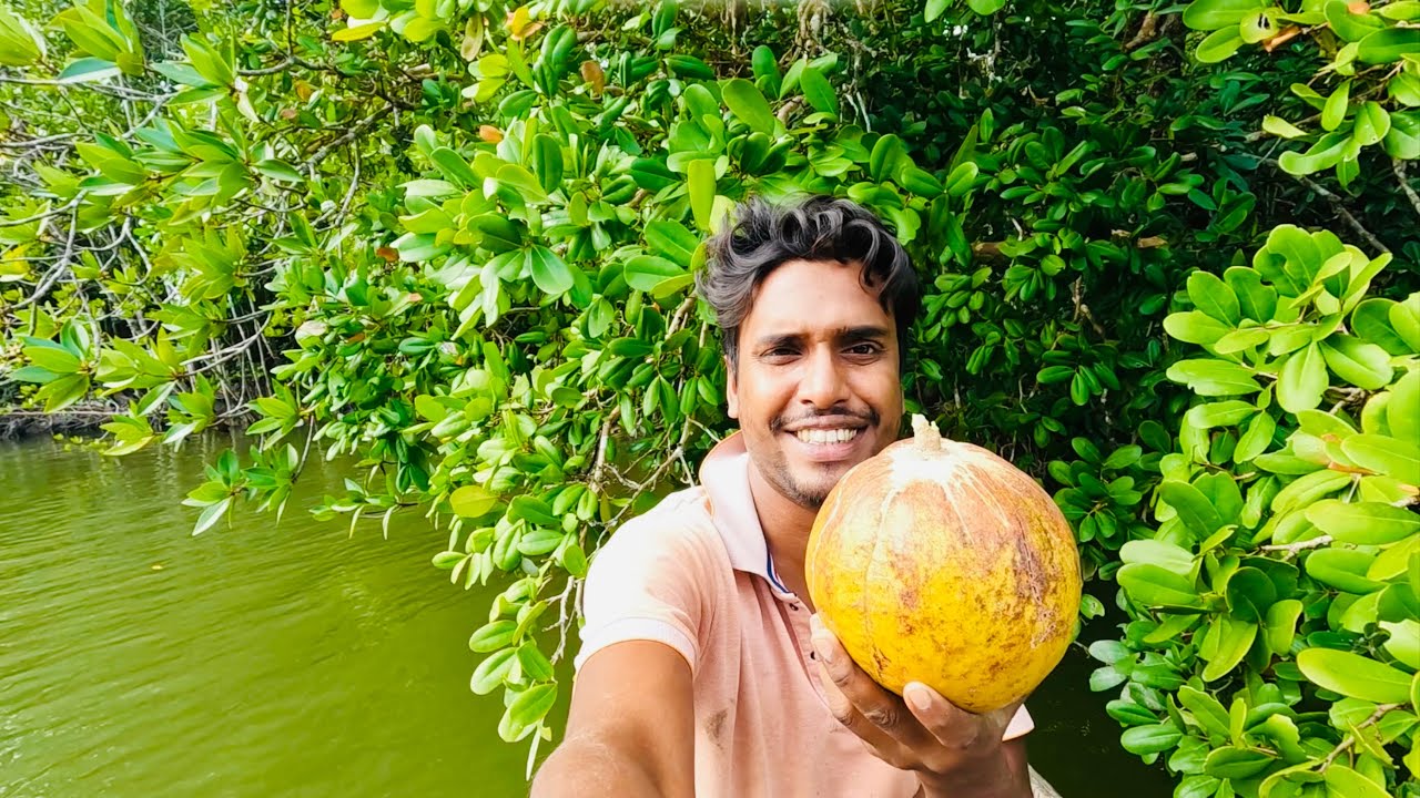 আন্দামানের খাড়ির ফল দেখতে সুন্দর হলেও বিপদজনক @ANDAMAN_HUNTERS 