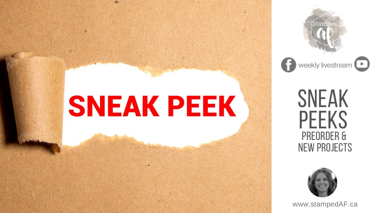 Sneak Peeks 🫣 Stampin' Up! Mini Catalogue Preorder Unboxing