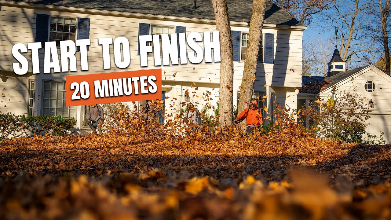 Massive Fall Cleanup | Full Yard Cleanup in 20 Minutes!