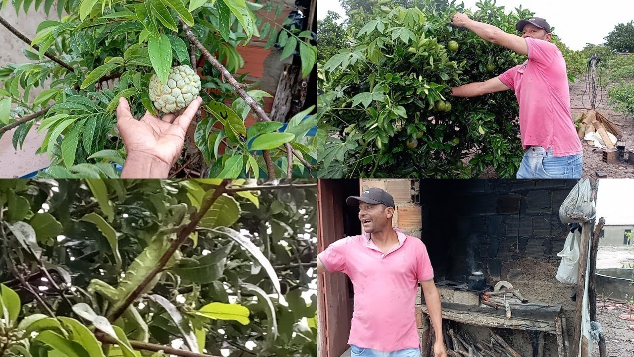 Alegria do agricultor com a chegada de muita chuva no sertão,é sinal de muita fartura.