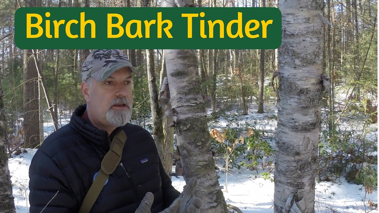 Birch Bark Tinder