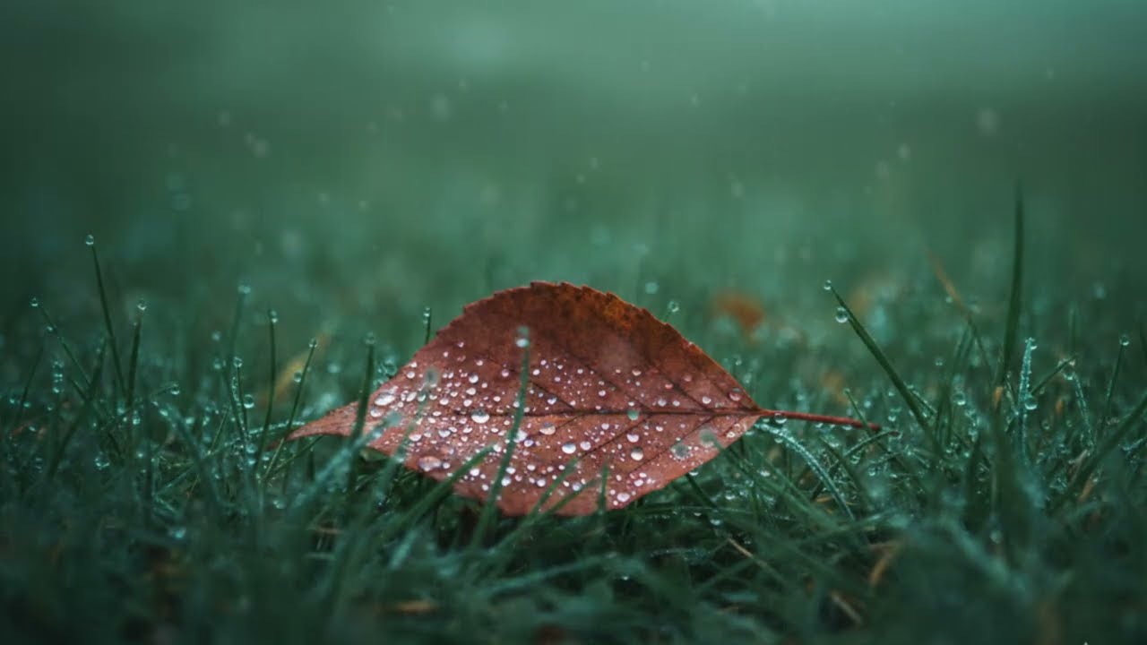 Relaxing Piano for Stress Relief, Study and Work | Peaceful Music to Calm Mind