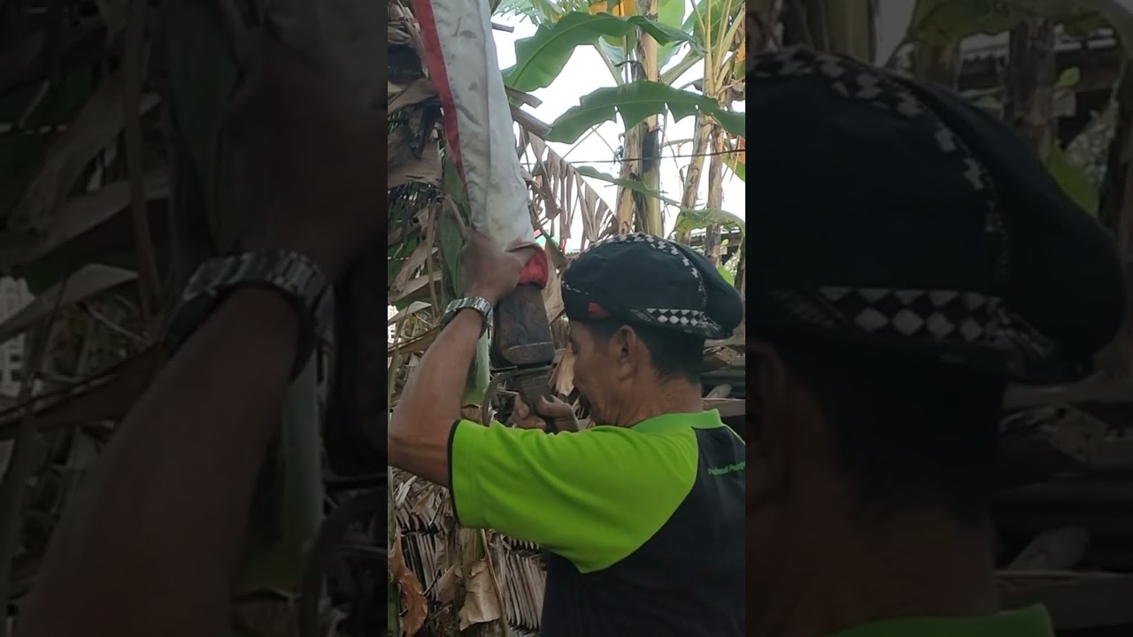 PUSAKA PEDANG NAGAPUSPA