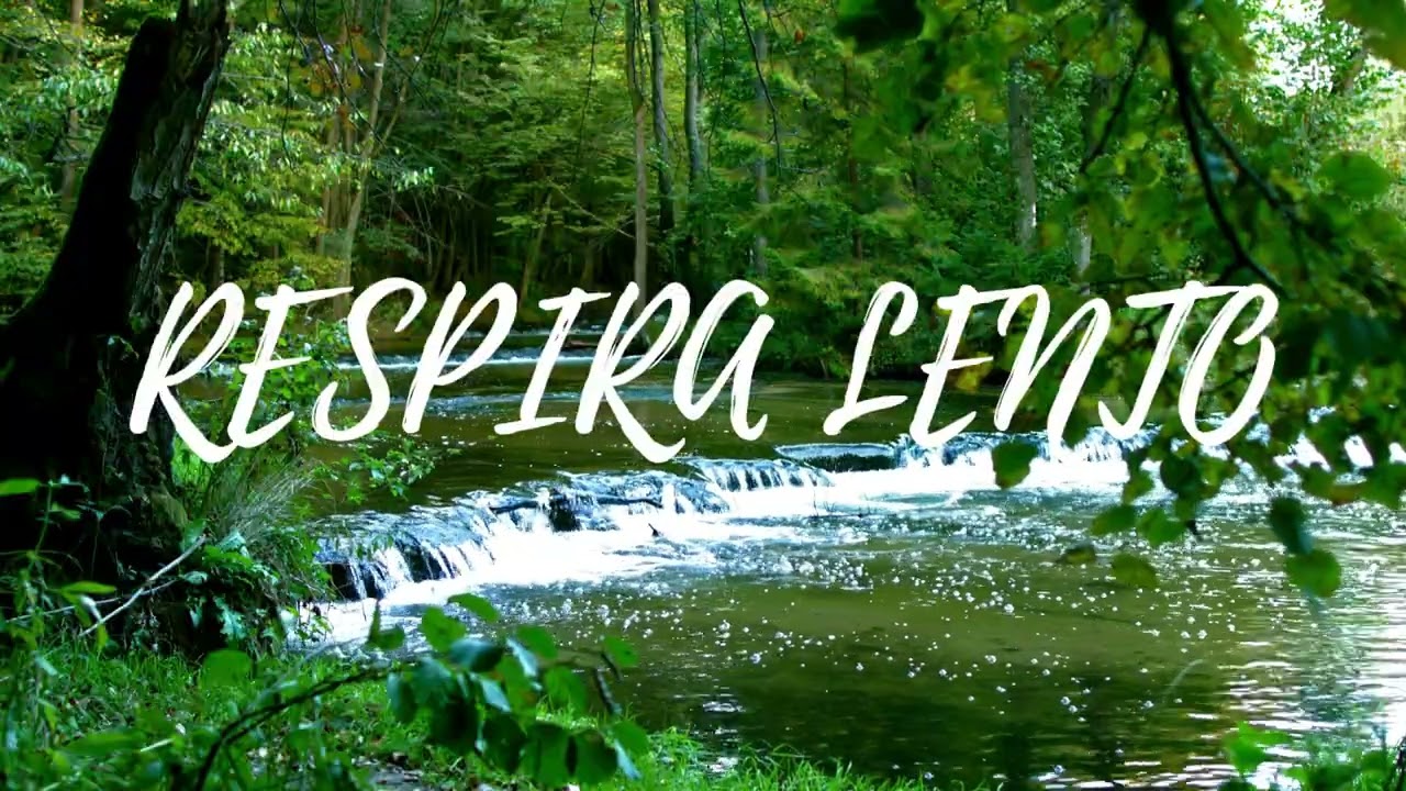 Río anti ansiedad, ataques de pánico e insomnio | Sonidos del agua para dormir y relajación