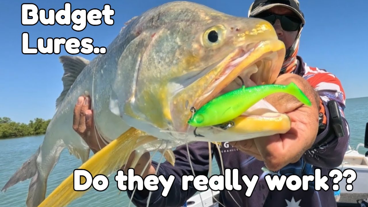 Secrets of Threadfin Fishing: Karumba Techniques Revealed