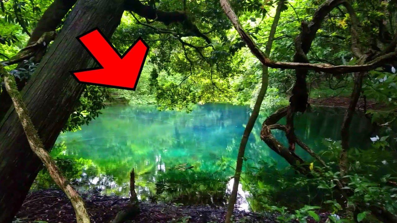 【エメラルドグリーンの湧き水に潜む神】あなたは見える？丸池神社・丸池様(山形)バーチャル参拝2020年版