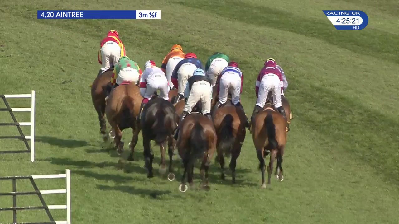 2018 Ryanair Stayers Hurdle - Identity Thief - Racing TV