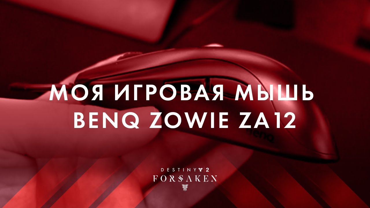 Моя игровая мышь Benq Zowie ZA12 | Destiny 2