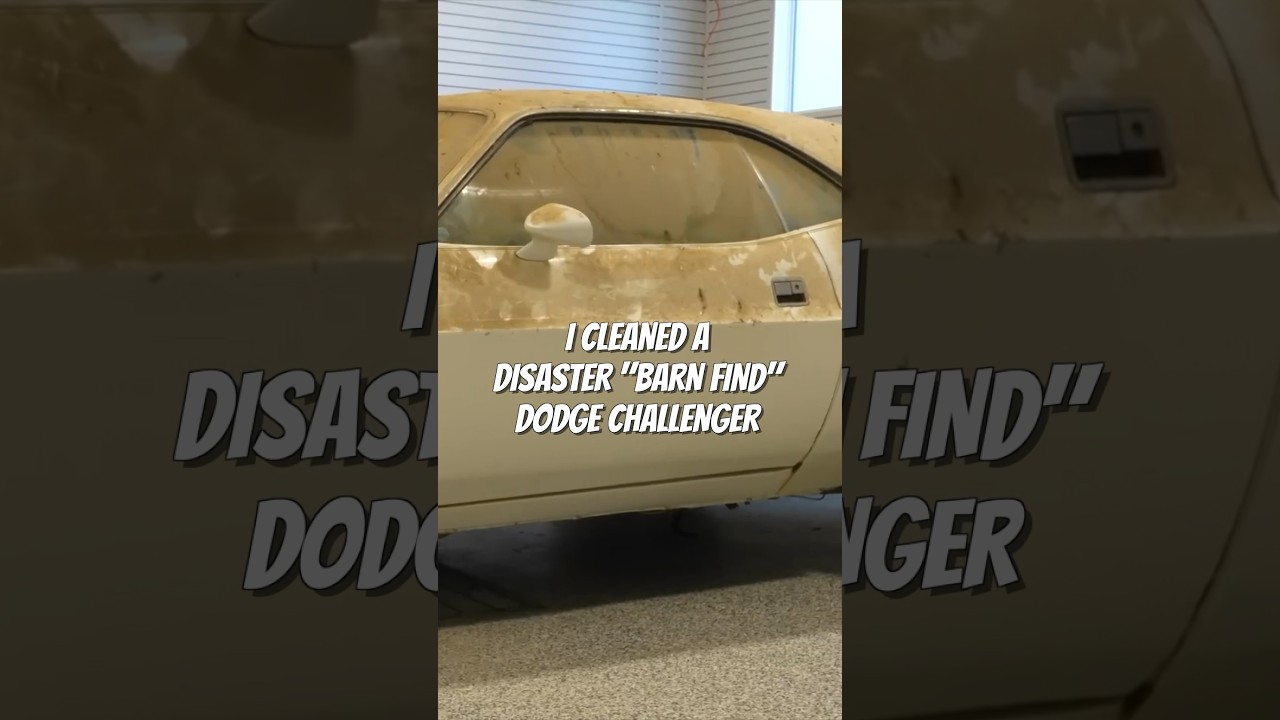 Detailing a DISASTER Vehicle!