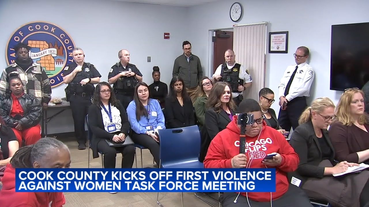 Cook County kicks off first Violence Against Women Task Force meeting: 'See that they're not alone'