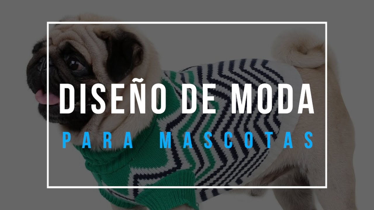 Diseño de moda para mascotas - eamoda tv 2019
