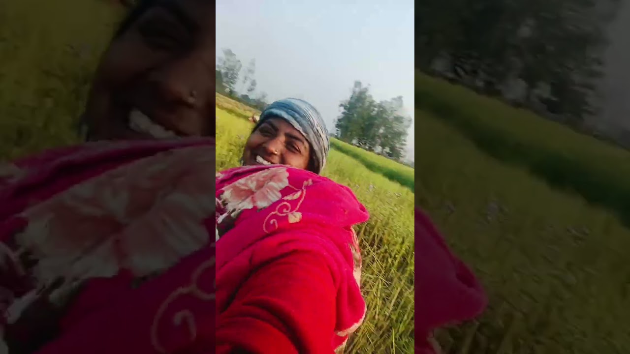 अन्टिको वारिमा तोरि काटेर बोकियो